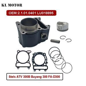 Stels ATV 300B D300 Buyang 300 Feishen FA Chirone