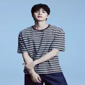 폴햄 남성 핫썸머 코튼 멀티 스트라이프 반팔티_PHG2TS1110BR