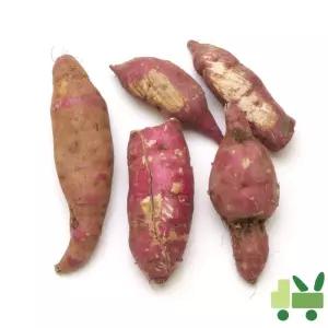 고구마 10Kg (파지)