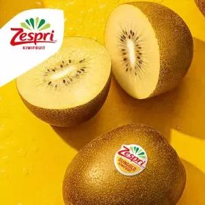제스프리 골드키위 특대과 3kg (21-23입/개당 130-140내외118268