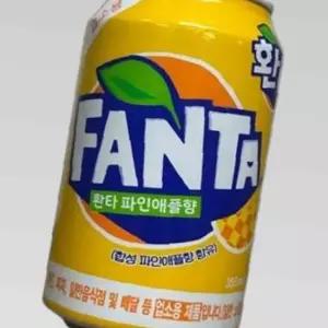 환타 파인애플 업소용 355ml 24캔