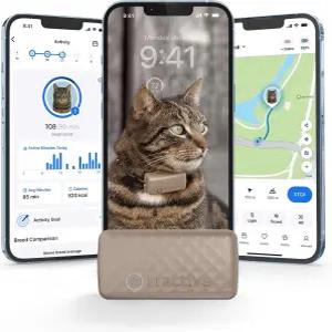트랙티브 스마트 고양이 GPS 트래커 6.5파운드 이상 실시간 위치 및 웰빙 모니터링 지역 기록 최대 5일