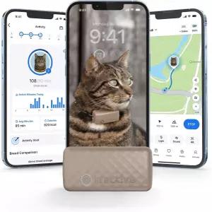 트랙티브 스마트 고양이 GPS 트래커 6.5파운드 이상 실시간 위치 및 웰빙 모니터링 지역 기록 최대 5일
