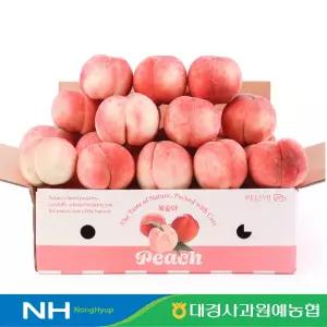 [대경사과원예농협]영천 딱딱이(백도) 복숭아 2kg 10과내 중과