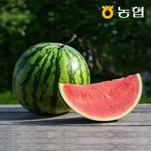 [롯데백화점]자연맛남 농협선별 부여 씨없는 수박 1통(8kg이상)