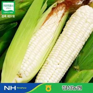 강원도 미백 찰옥수수 20개(특품)/지리적표시제인증