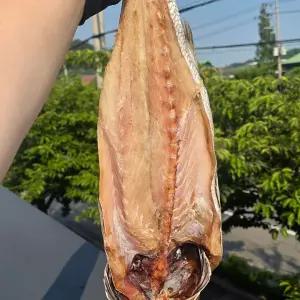 초대왕 보양 반건조 민어 1미