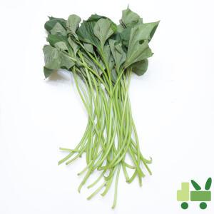 고구마 줄기 8kg