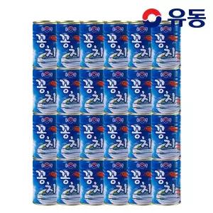 꽁치 400g 24개