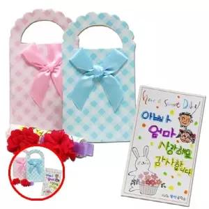 헤이지 C0302 이션 편지와 선물 1인용 카네이션편지 카네이션DIY 유치원카네이션