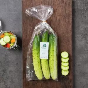 강원 백오이 500g (3입) 봉