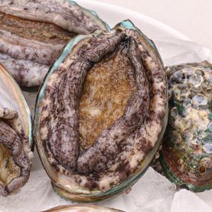 (선물포장세트) 국산 완도 활 전복 특대 1kg(8-9미) 산소포장 선물세트 부직포