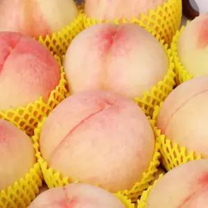 의성 햇 백도 복숭아 4kg 중소과 21-23과 내외 말랑이