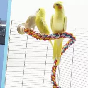 (다올)앵무새 컬러 횃대 장남감 그네 60cm 휴식공간 1P