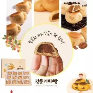 커피콩빵 강릉 강원도 특산물 커피빵 앙꼬선물 12개입