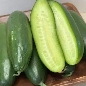 국내산 스낵 미니오이