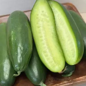 국내산 스낵 미니오이 3kg(60개내외)