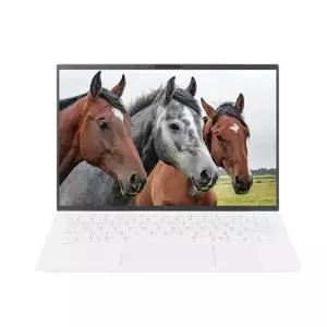 LG전자 LG그램 14ZD90T-GX56K SSD 512GB