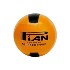 대한피구협회 피구공 공인구 스포츠클럽 공식