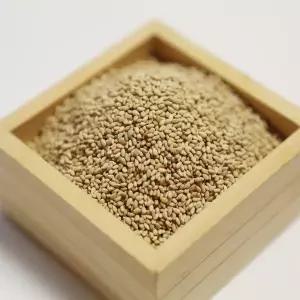 25년 햇 볶음참깨 500g 1kg 100 통깨 깨소금