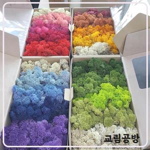 [교림공방]스칸디아모스 그라데이션모스 500g(1박스) 공예 공기정화식물  천연이끼 학교수