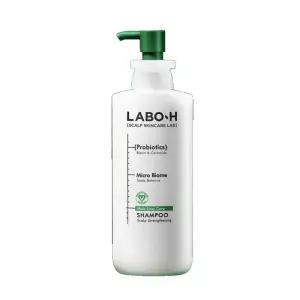 라보에이치샴푸 탈모 라보에이샴푸 샴프 쿨링 라바에이치 지성 400ml DJ