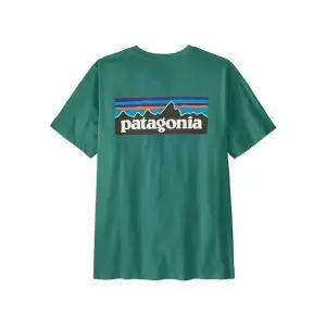 매장정품 PATAGONIA 파타고니아 멘즈 P-6 로고 티셔츠 37882R5 1890849