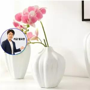 지금 필요한 조화 웨딩 인조꽃 인테리어 플라워 호접란 4컬러 부케