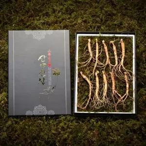 심봤다 삼 산양산삼 산양삼 장뇌삼 선물세트 10뿌리