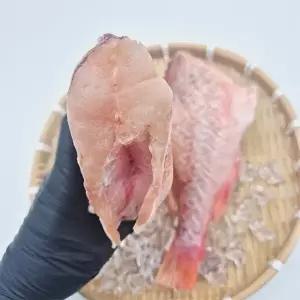 손질 특대 열기 불볼락 반건조 2미 x 1팩25601588588515