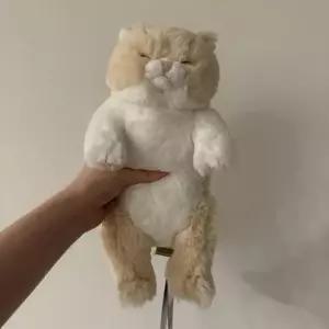 아트박스 콤비니 선레몬 무릎인형 잠자는쓰야쓰야 미니 고양이 인형CR
