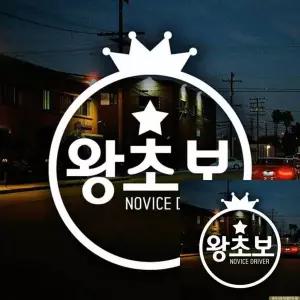 자동차스티커 ILU163L7 왕관 왕초보 초보운전 반사시트지 차꾸미기 차량꾸미기