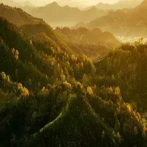 황산/항주 4일 #태평-동문코스 #황산신규코스 #서호유람선