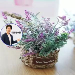 지금 필요한 초록의 더가든 싱그러운 조화장식 라벤더 향기 바구니