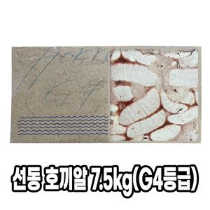 다인 선동 호끼알 7.5kg 알탕 해물탕 동태탕