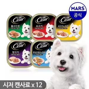 [시저]시저 캔사료 100g 12개 묶음