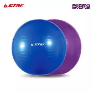 65cm 짐볼 (EB200) 요가 필라테스 자세교정 스트레칭 홈트레이닝 헬스 운동 다이어트