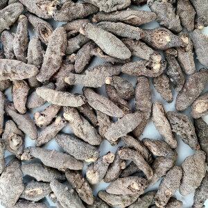 건해삼200g 팔각해삼 마른 말린 중식 최고급해삼 참빛상사