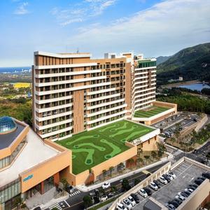 소노펠리체 델피노