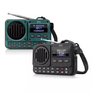 브리츠 BZ-LV1100 휴대용 라디오 블루투스 스피커 Britz