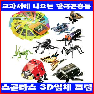 [스콜라스 교과서에나오는곤충들]3D입체조립/뜯어만드는세상/입체모형/입체퍼즐/퍼즐/박물관/역사