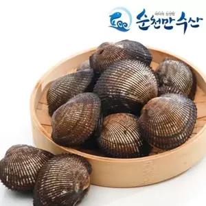 남해안 활피꼬막3KG