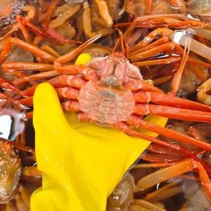 [인정식탁][일품대게]구룡포 연지 홍게 A급 4kg (13-15마리)