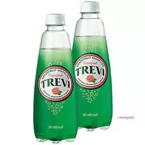 자몽 300mlx20PET 트레비ghi642