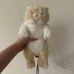 [아트박스]/콤비니 선레몬 무릎인형 잠자는쓰야쓰야 미니 고양이 인형CR