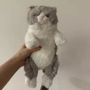 아트박스/콤비니 선레몬 무릎인형 잠자는쓰야쓰야 미니 고양이 인형GY