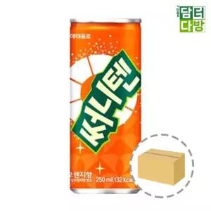 (250ml) 써니텐 오렌지향 (30캔)/드링크/간식음료/단체음료/음료선물/후식/탕비실/사무실/학교/학원/디저트