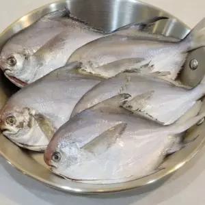 손질 병어 10마리 흰살생선 손질생선 냉동생선 솜랑비