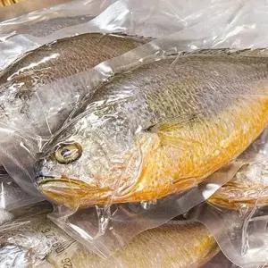 국내산 반건조 백조기 1kg(7~10미)