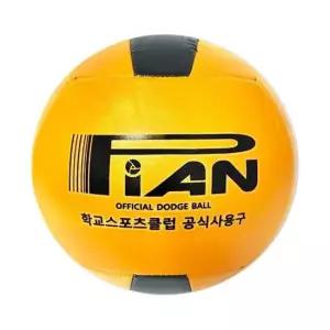 피구공 초등용 협회공인구